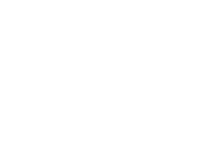 logo ACCIÓ